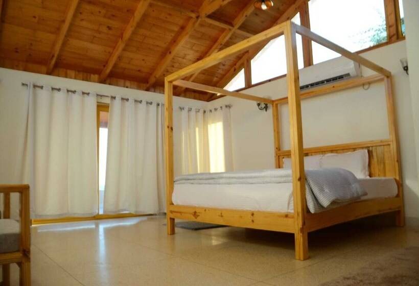 Отель Palace Beach Camp