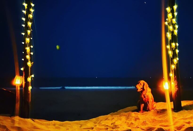 酒店 The Seventh Heaven Resort & Ocean Stays