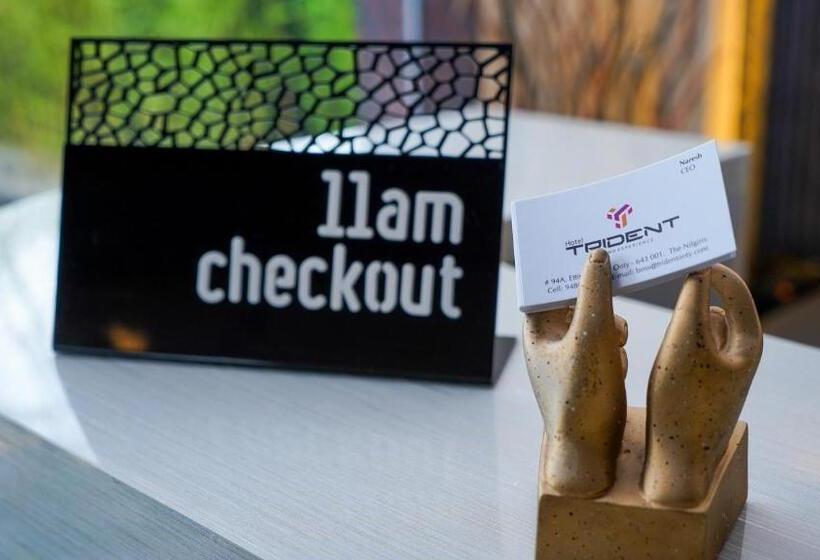 בית מלון כפרי Trident