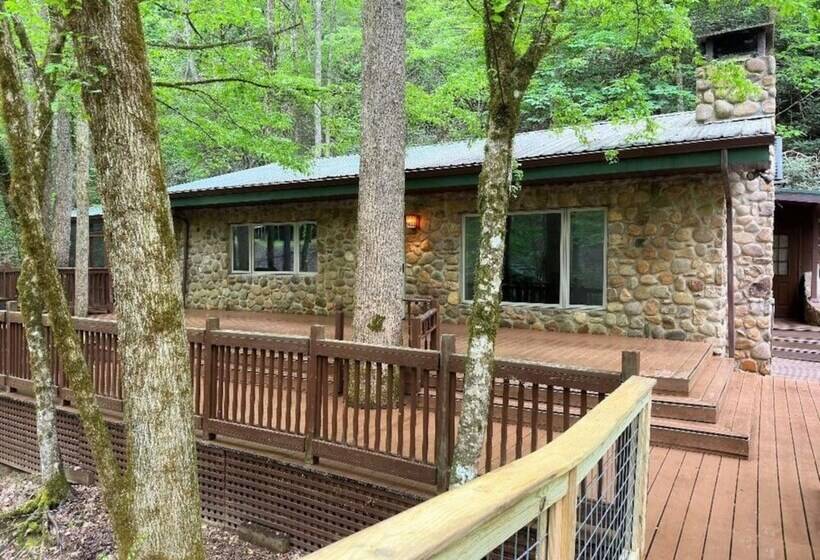 Mountain View Bliss   Cozy 1br Cabin