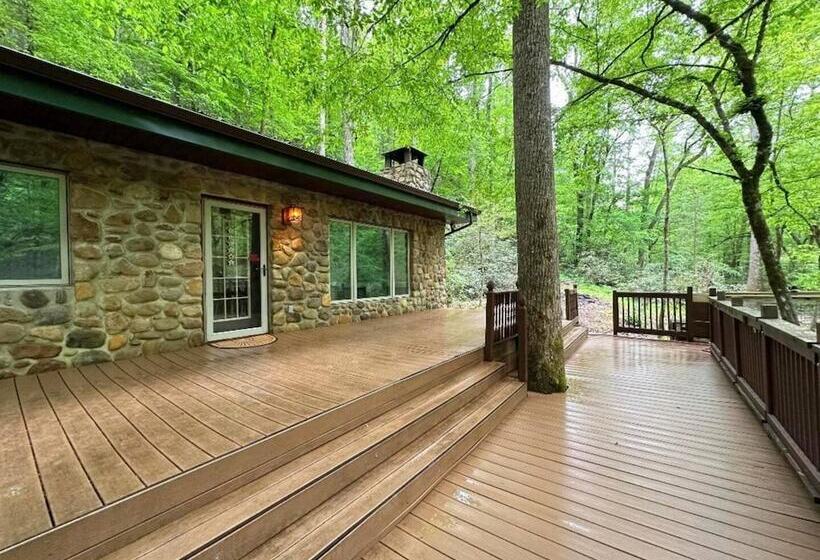 Mountain View Bliss   Cozy 1br Cabin