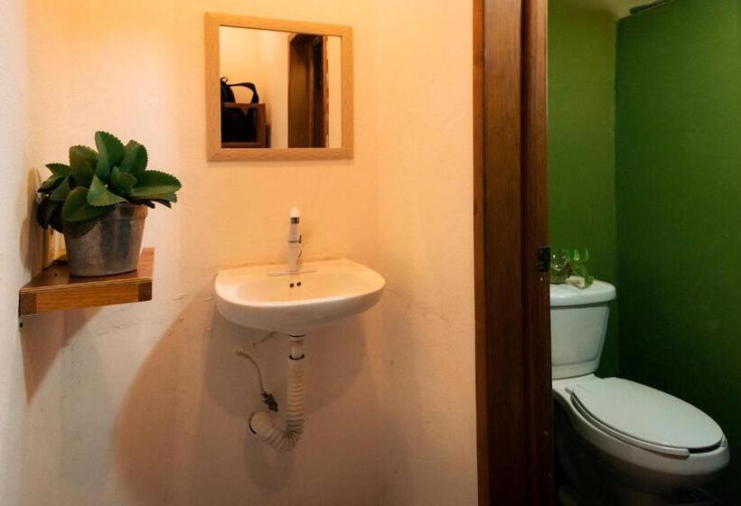 هاستل Hostal Cuca Macuca