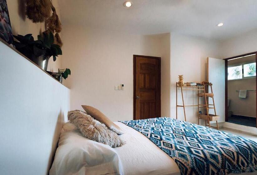 هاستل Hostal Cuca Macuca