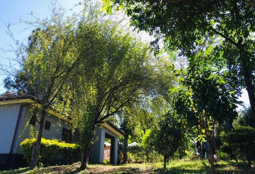 住宿加早餐  Mkally Homes