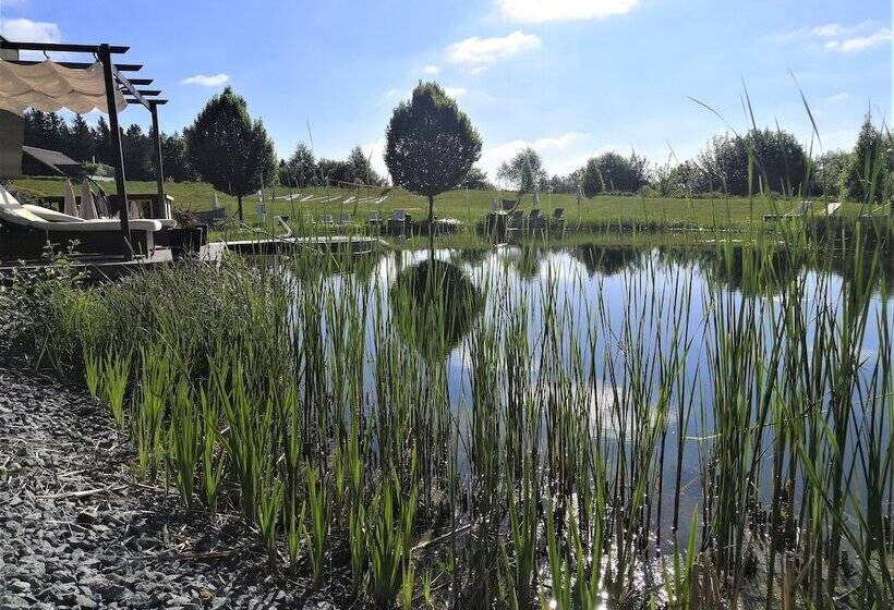 ホテル Aviva   Für Singles & Alleinreisende