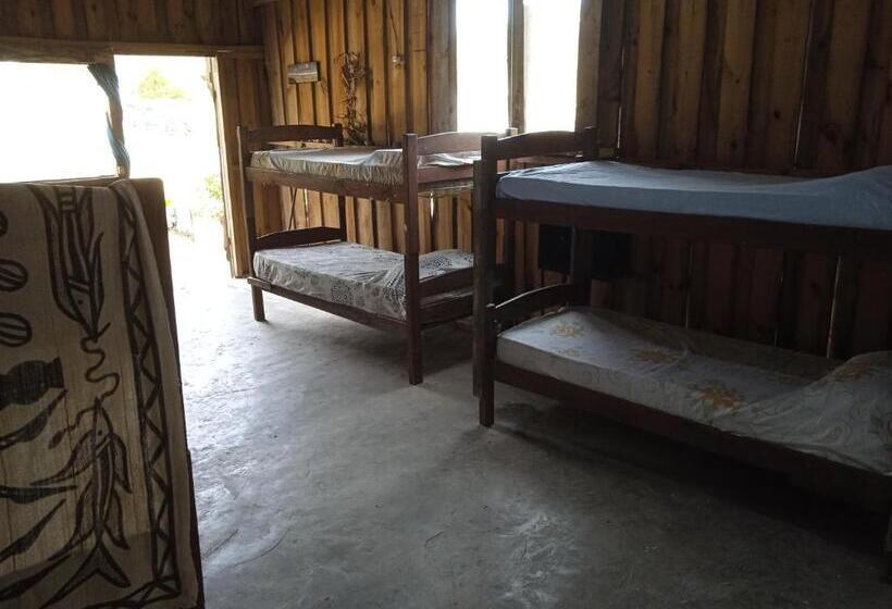 هاستل Vida Playera