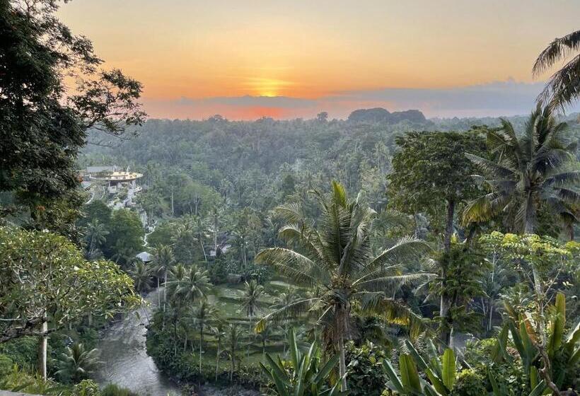 تختخواب و صبحانه Bali Maison