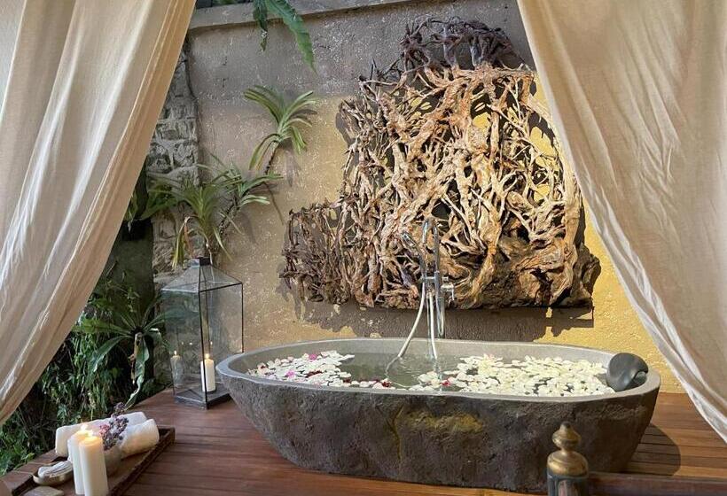 تختخواب و صبحانه Bali Maison