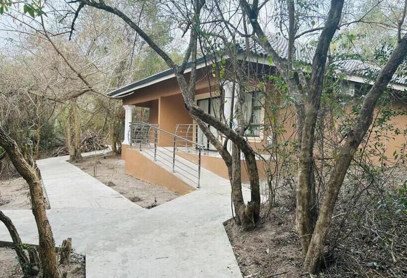 Отель The Galaxy Forest Lodge
