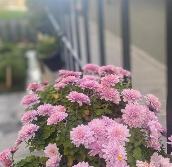 Your House Apart Otel