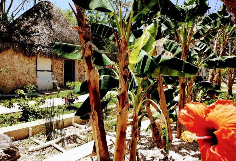 בית מלון כפרי Y Museo Aldea Maya Toktli Orígenes   Casa Maya Toh   Alberca, Wifi Starlink, Tour Museo