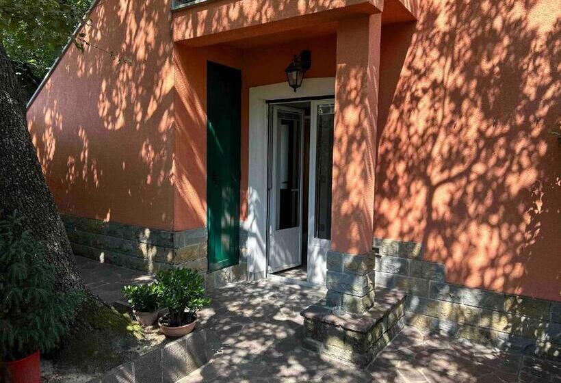مبيت وإفطار Ai 2 Olmi   Monolocali Nel Verde
