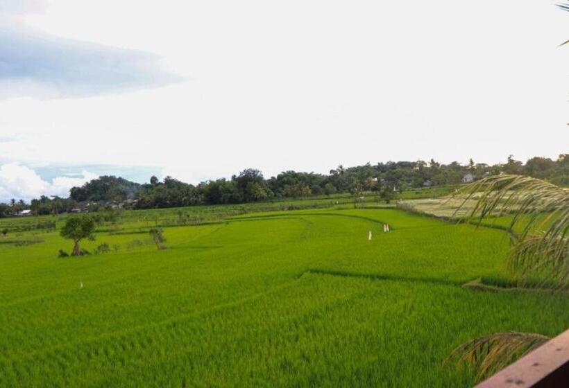 مبيت وإفطار Kangkung House Bujak