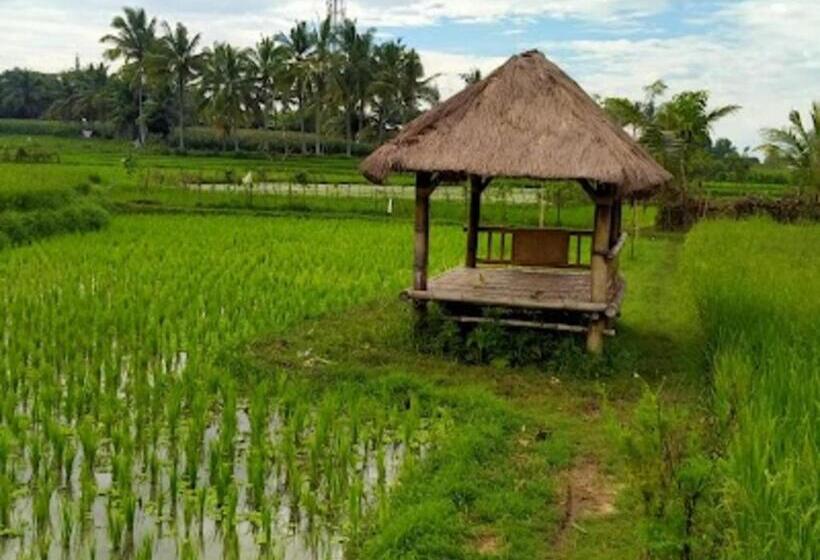 مبيت وإفطار Kangkung House Bujak