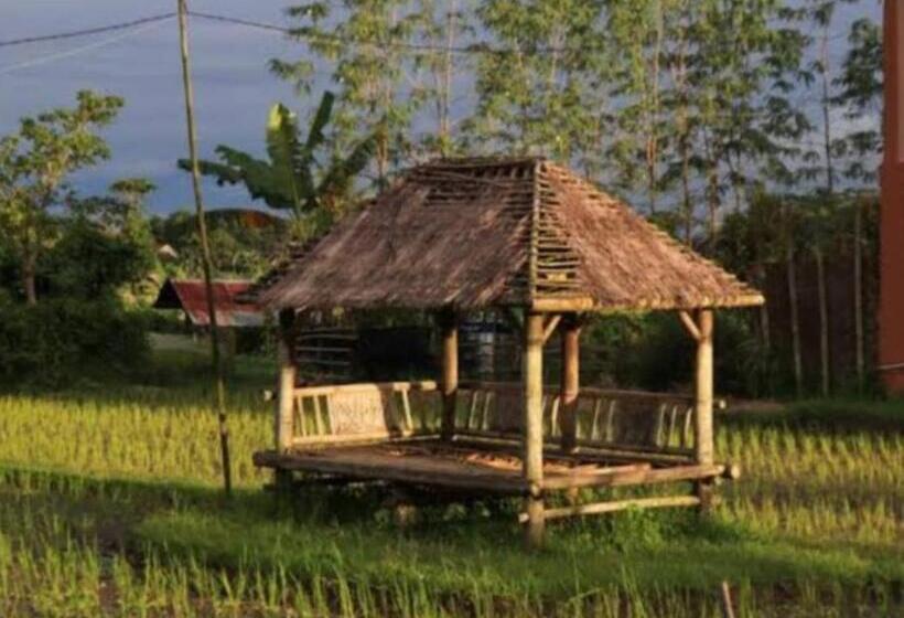 مبيت وإفطار Kangkung House Bujak