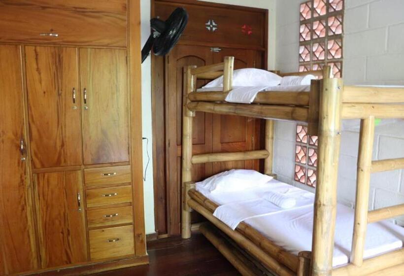 פנסיון Afro Hostel