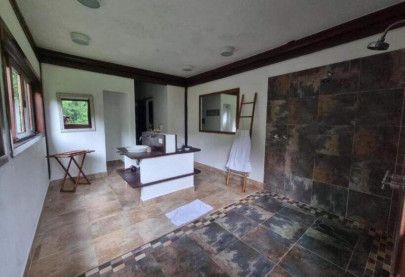 פנסיון Casa Céu Da Mata