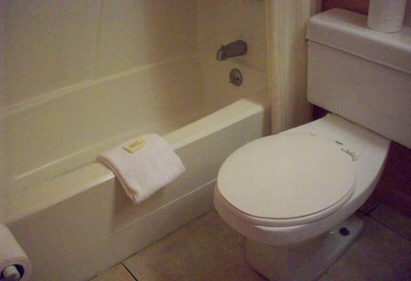 All Suite Motel