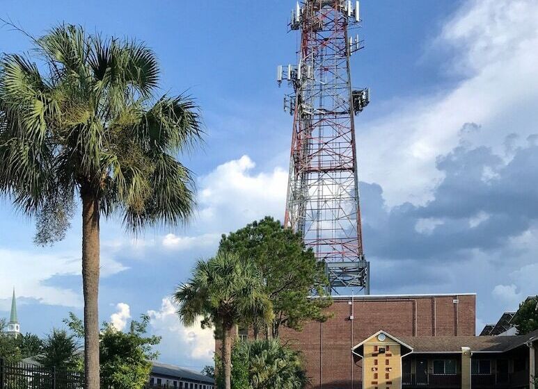 فندق Gainesville Lodge