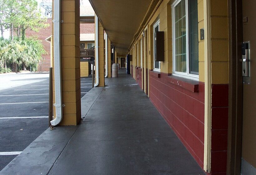 فندق Gainesville Lodge