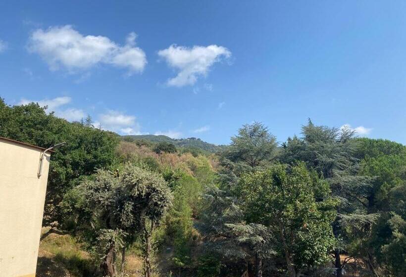 Domaine Des Anges 2