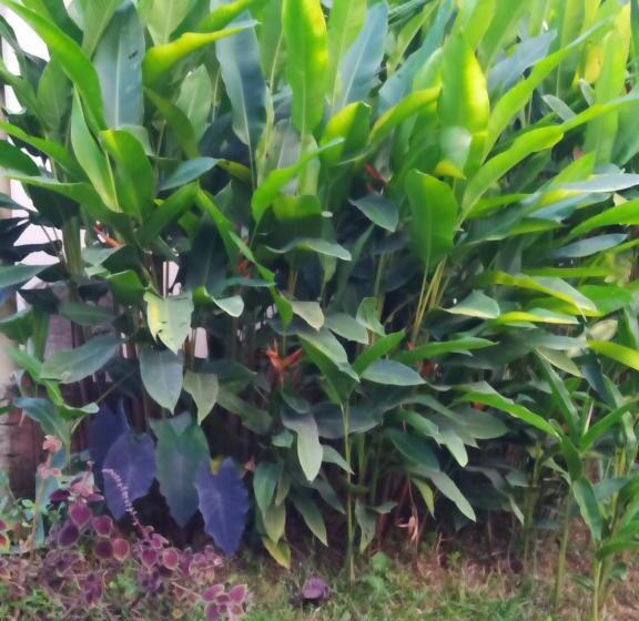 هتل Altos Del Reposo Casa Campestre