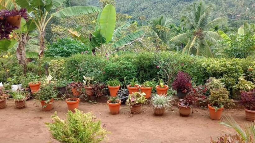 ホテル Vanasree Farmstay