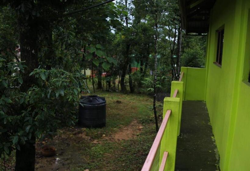 ペンション Stay Inn Ribsweet Homestay