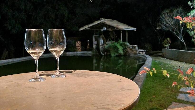 ペンション Sítio Roda D água