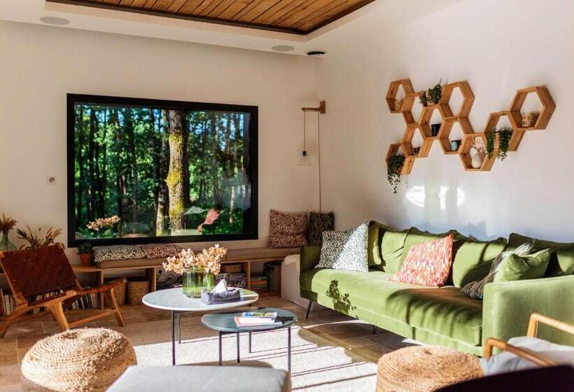 Bed and Breakfast Dans Les Arbres