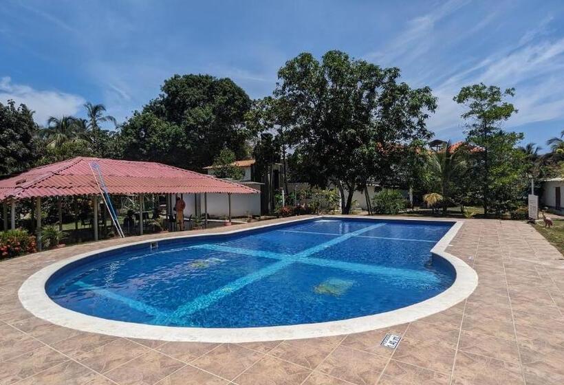 هتل Beach Life Palomino & Beach Club