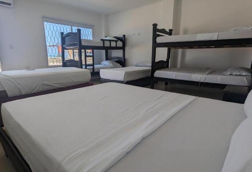 هتل Beach Life Palomino & Beach Club