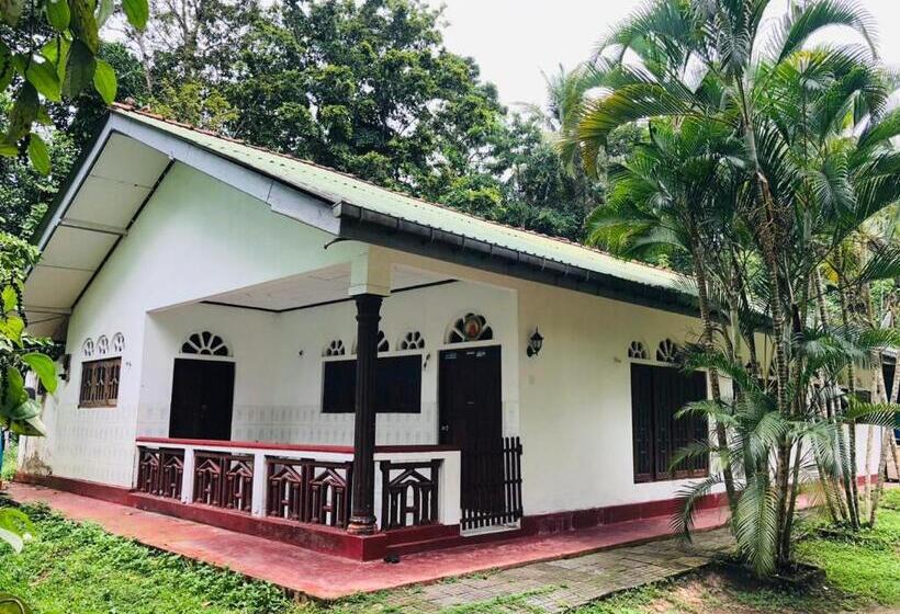 פנסיון Dana S Villa