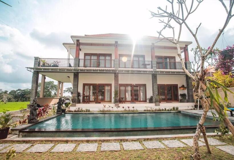 펜션 Villa Popolan And Guest House