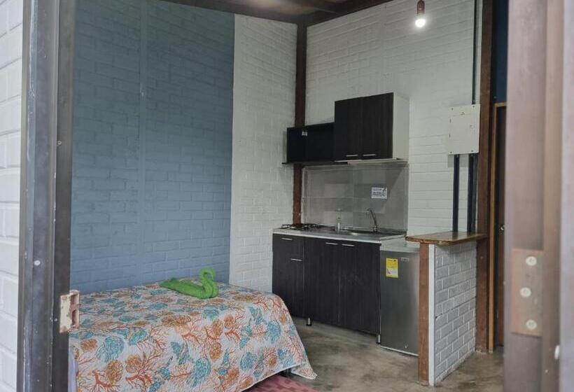 هاستل Posada Miss Anibel