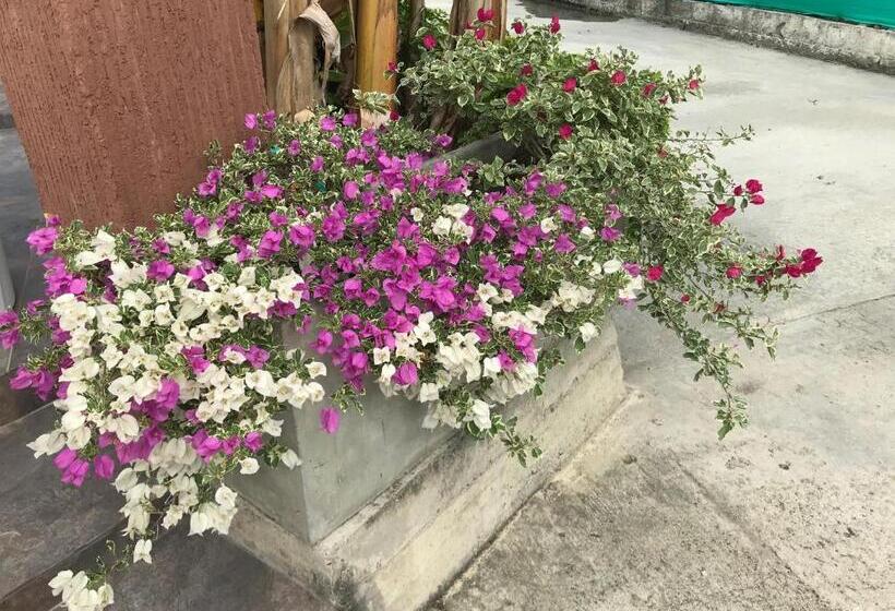 تختخواب و صبحانه Casa Hotel El Encanto De Carmen