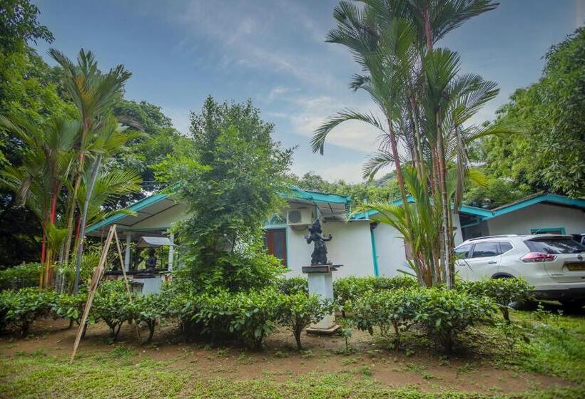 ホテル Algama Ella Resort