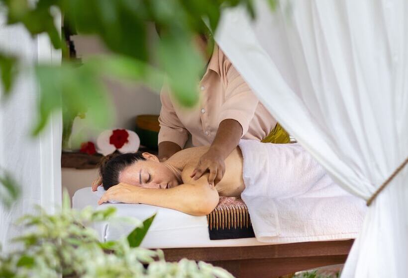 酒店 Through The Looking Glass Wellness Retreat Resort