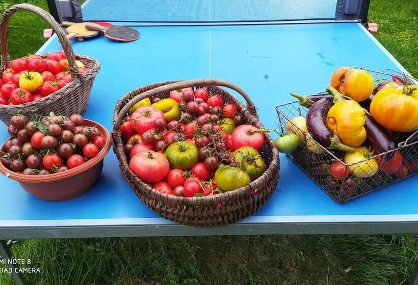 膳宿费 La Ferme Du Tilleul Chambres D Hôtes Tout Conforts   Familiale   Entre Amis   Pro