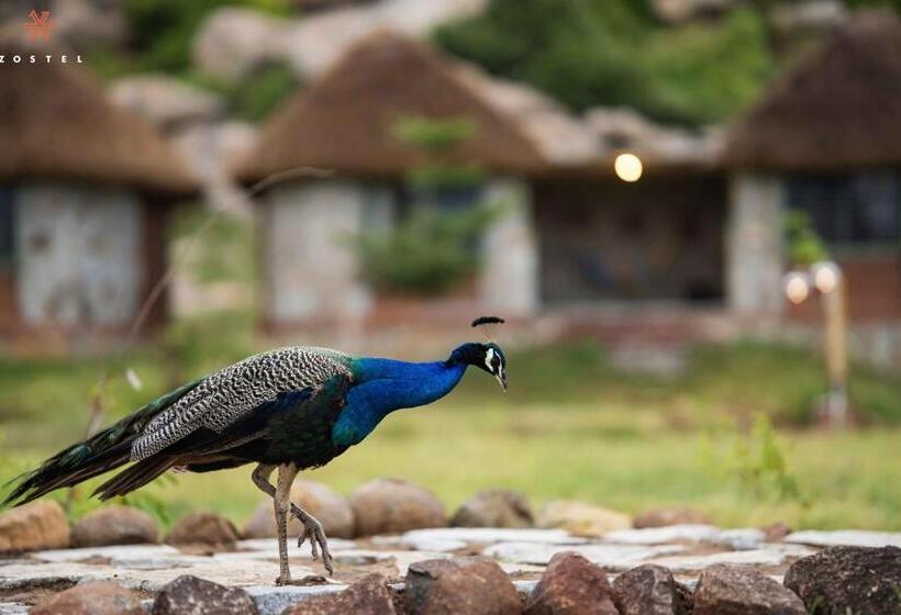 旅馆 Zostel Hampi