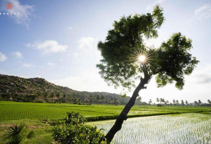 旅馆 Zostel Hampi
