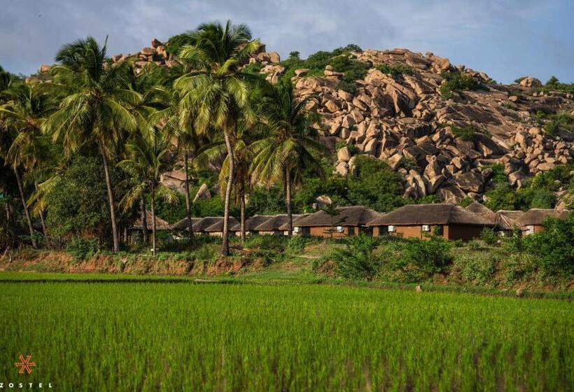 旅馆 Zostel Hampi