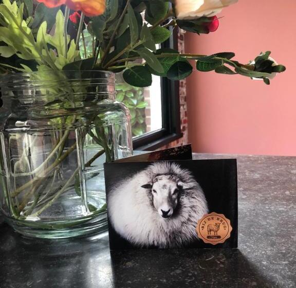 مبيت وإفطار Slapen Bij De Brug