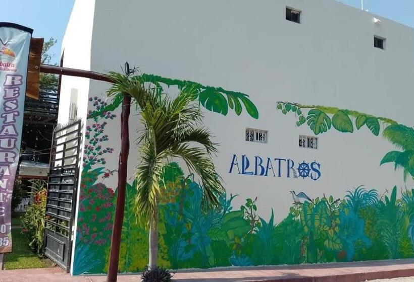 فندق Albatros
