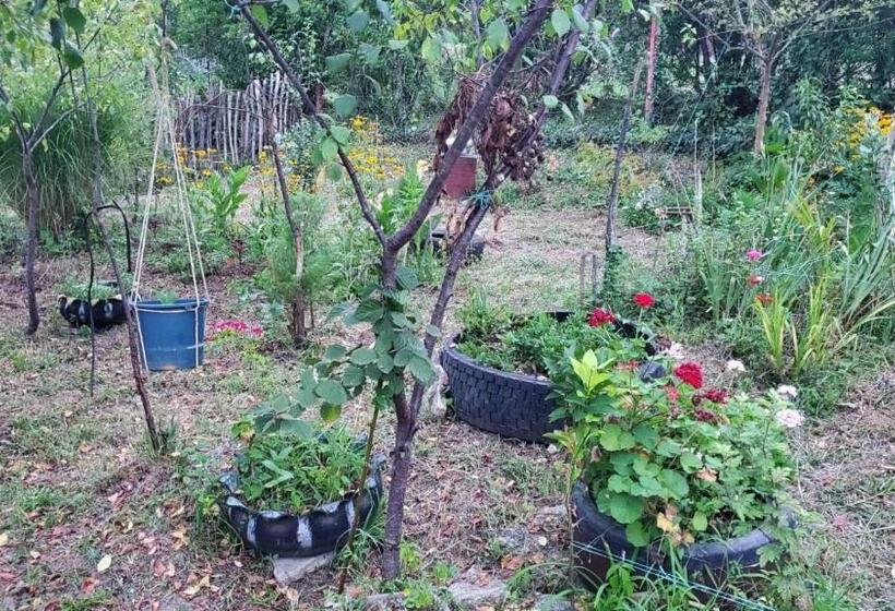 پانسیون Guesthouse David