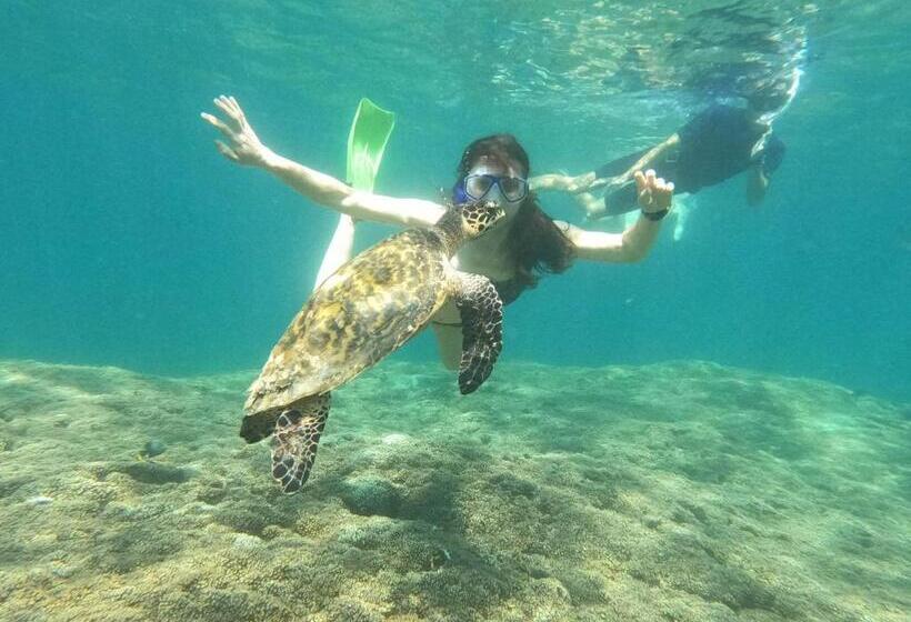 پانسیون Casa De Huéspedes Casablanca