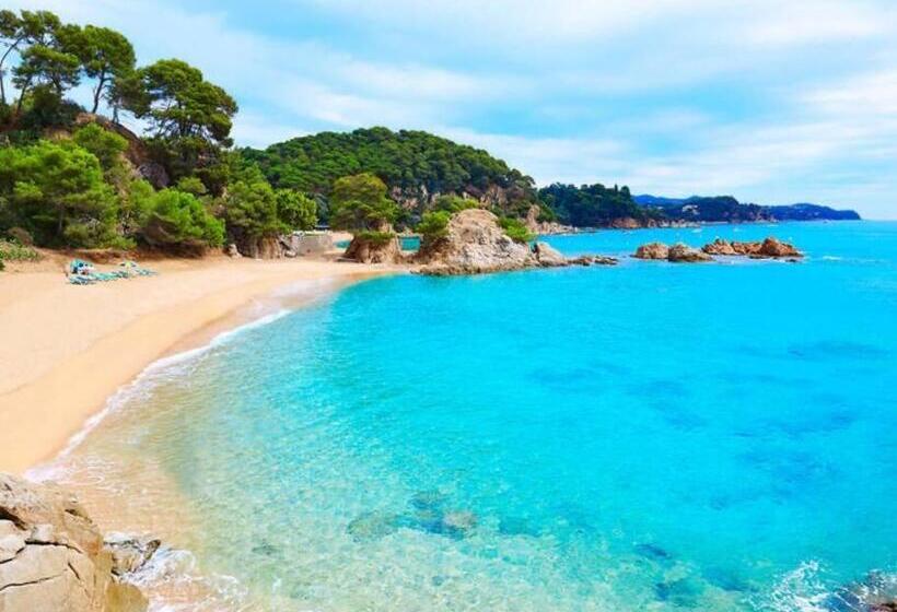 بنسيون Seaview Tiny House 1 Km Nach Platja D Aro Und Stränden