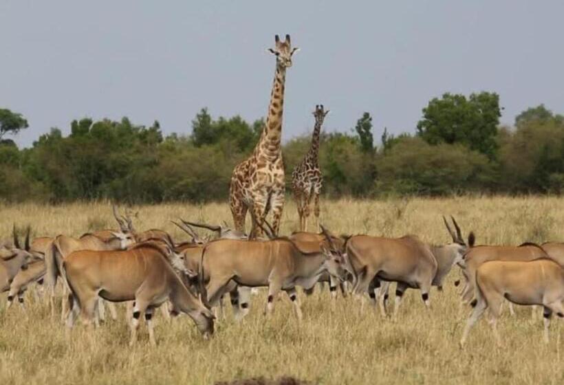 Курорт Kingdom Game Ranch