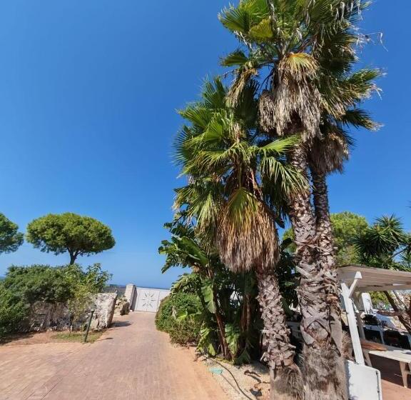 تختخواب و صبحانه Residence Il Carrubo