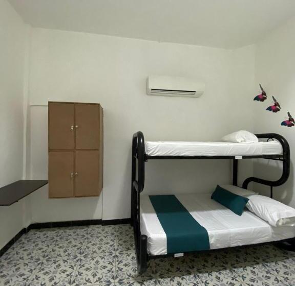 پانسیون Believer Hostel